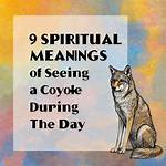 9 Spiritual Meanings of Seeing a Coyote ·