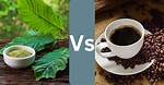 A Coffee and Culinary Adventure