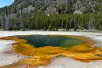 A Yellowstone Odyssey for the Curious