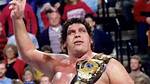 Andre the Giant Net Worth at Death