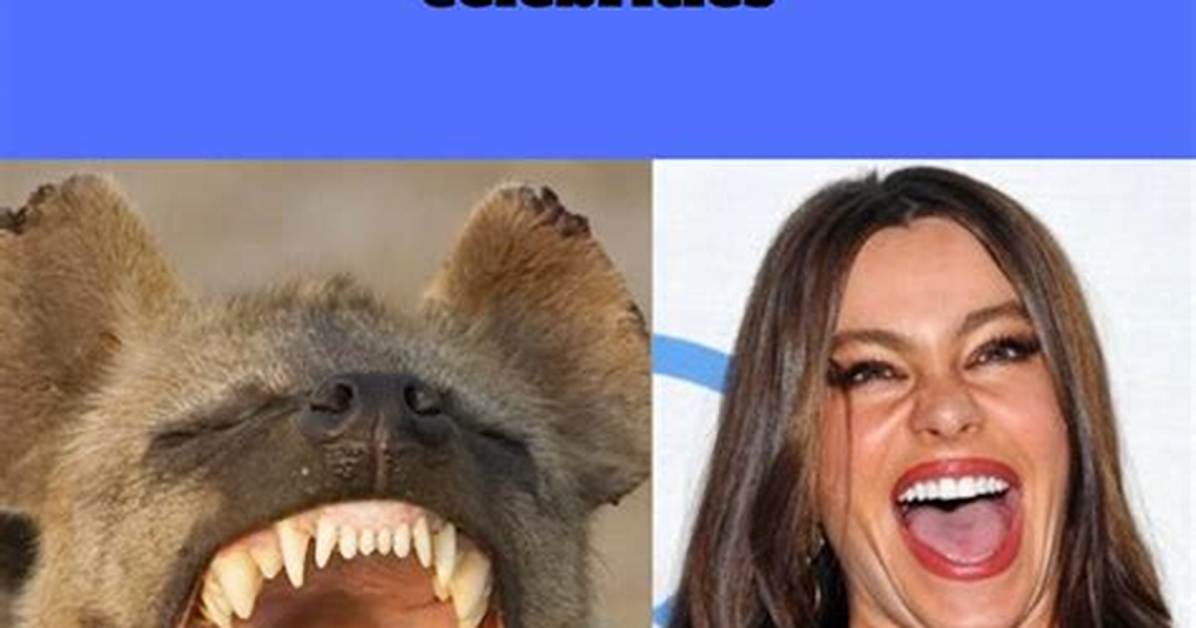 Animals That Look Like Celebrities – Nature’s Impersonators