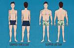 Big Torso Small Legs