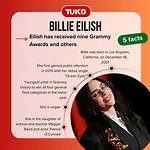 Billie Eilish: the Journey of a Pop Icon and Her Impact on Body Image