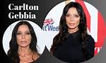 Carlton Gebbia - Bio, Age, Net Worth, Height, Divorce, Nationality, Body Measurement, Career