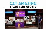 Cat Amazing Shark Tank – Founder, Net Worth and Investment