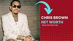 Chris Brown's Wealth: Unveiling the Net Worth of the R&B Superstar