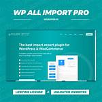 Creating Niche Sites with Wp All Import and Woocommerce