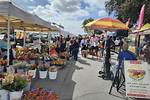Discover the Delights of Hillcrest Farmers Market in San Diego