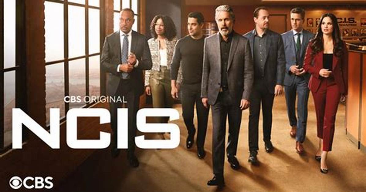 Discover the Enviable Wealth of the 'Ncis: Los Angeles' Cast
