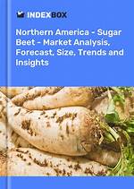 Discoveries and Insights for Sugar Beet Success