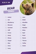 Discovering the World of Famous Bear Names