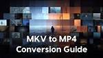 Discovering the World of Mkv Movie Point. Net: Your Ultimate Destination for Movies