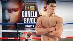 Dmitry Bivol Net Worth: a Glimpse into the Life of a Boxing Champion