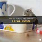 Does Pine-Sol Really Deter Mice?