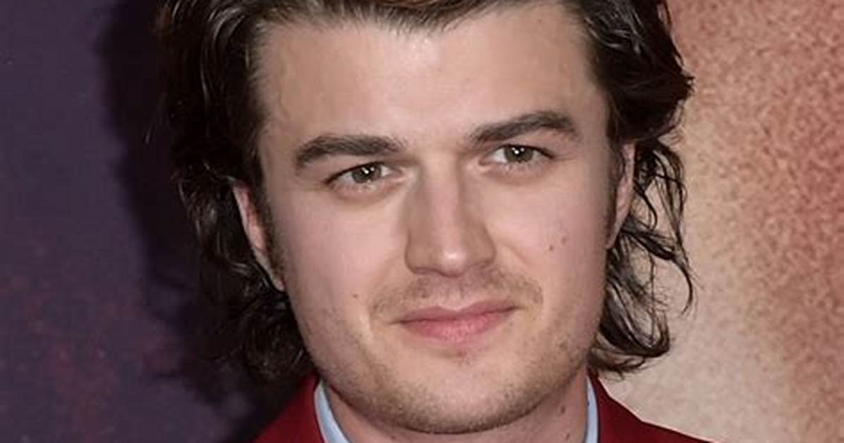 Does Stranger Things Star Joe Keery Support the Palestinian Cause?