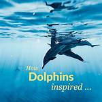 Dolphins Blogs – Top Dolphins Blogs and Websites
