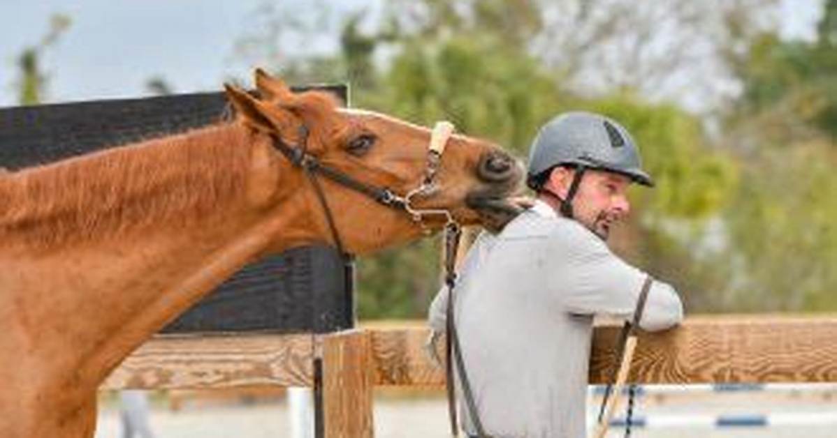 Equestrian Craig Starr Accident Linked to Death