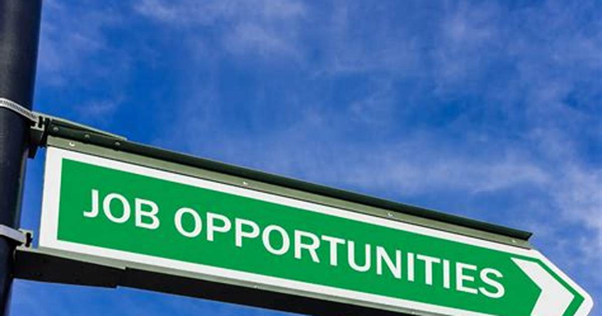 Exploring Employment Opportunities: Can You Work at Menards at 16?