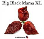 Exploring the Allure of Big Black Mama Boobs