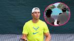 Exploring the Enigma of Baby Nadal: a New Tennis Prodigy
