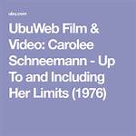 Exploring the Life and Career of Carolee Campbell