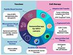 Exploring the Possibilities of an Hpv Cure