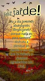 Feliz Tarde Bendiciones: Embracing the Evening Blessings in Everyday Life