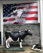 Frank Noesen Springville Ny