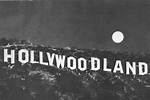 From Early Success to Hollywood Icon