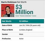 Harris Dickinson Net Worth – How Much Is Dickinson Worth?