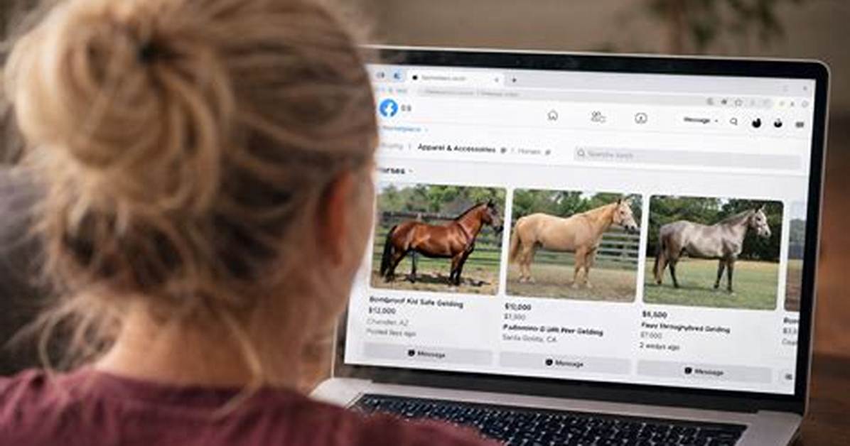 Horse Forum – List of Horse Discussions and Forums