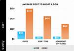 How Much Does It Cost to Adopt a Dog?
