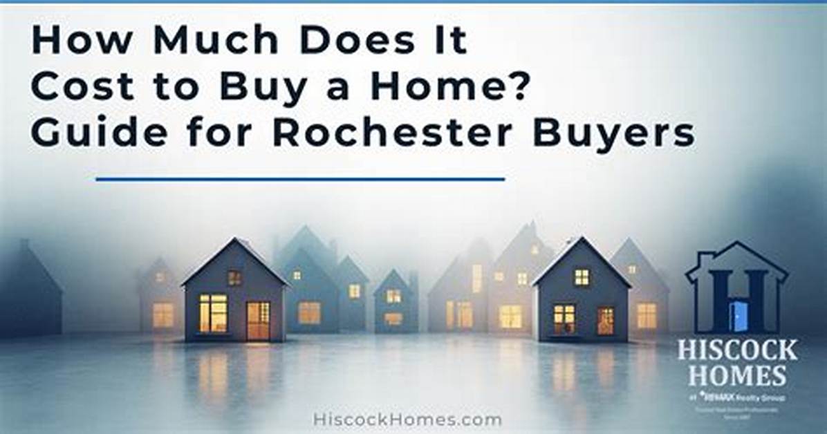 How Much Does It Cost to Buy a Horse?