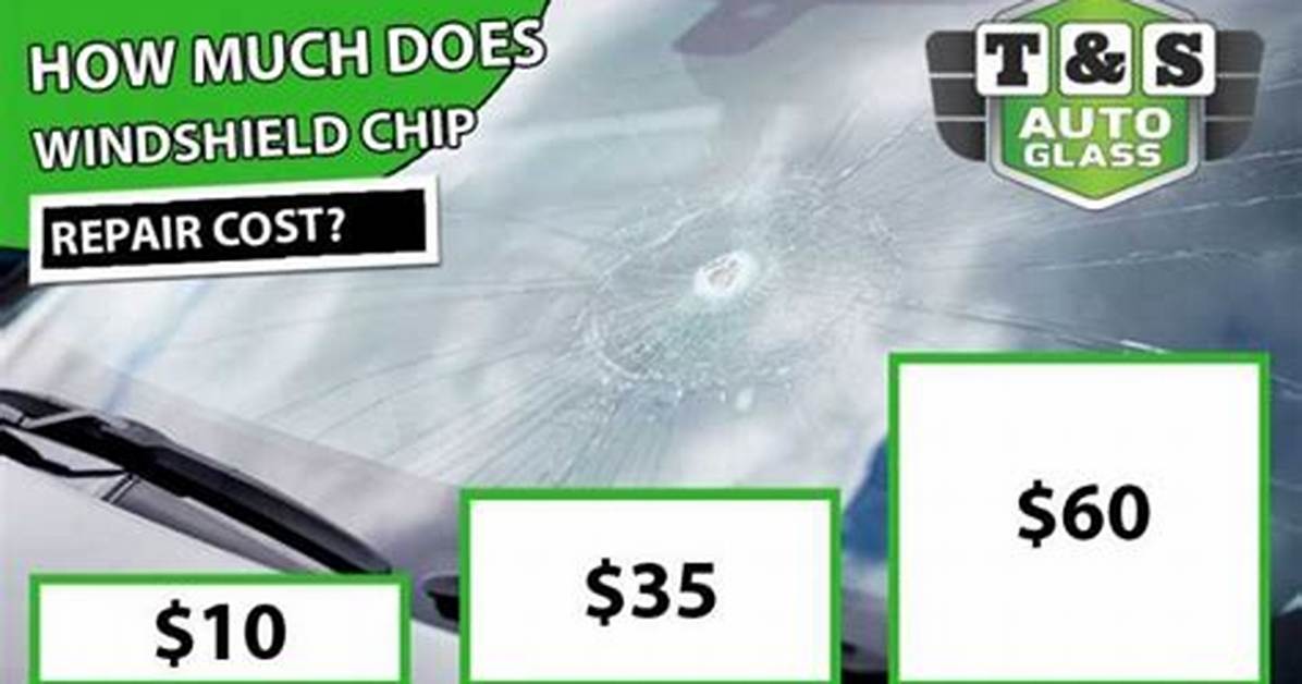 How Much Does It Cost to Chip a Dog?