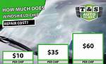 How Much Does It Cost to Chip a Dog?