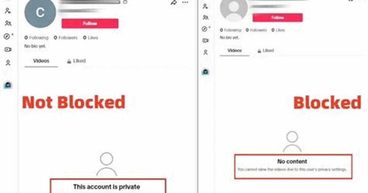 How to View Blocked Tiktok Accounts