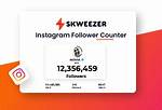 Instagram Follower Count Checker