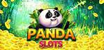 Is Panda Fortune Legit? – Feedback and Reviews