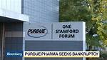 Is Purdue Pharma Still in Business?