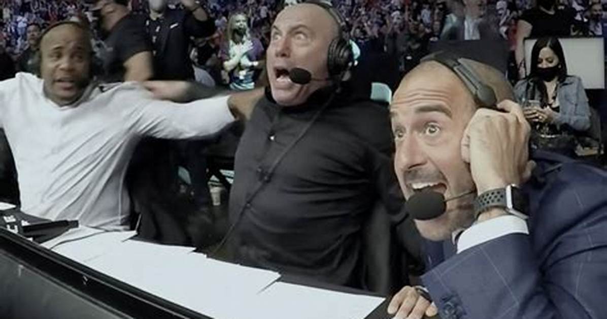 Joe Rogan Had a Hilarious Reaction to Barstool Sports Dave Portnoys $10000 Bet on Molly Mccann At