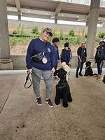 K9 Lady: the Inspiring Journey of a Dog Trainer and Advocate
