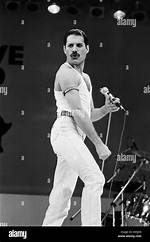 Lead Singer of Queen: the Iconic Journey of Freddie Mercury