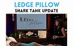 Ledge Pillow Shark Tank – Founder, Net Worth and Investment