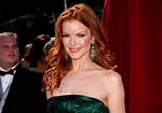 Marcia Cross Net Worth – How Much Is Cross Worth?