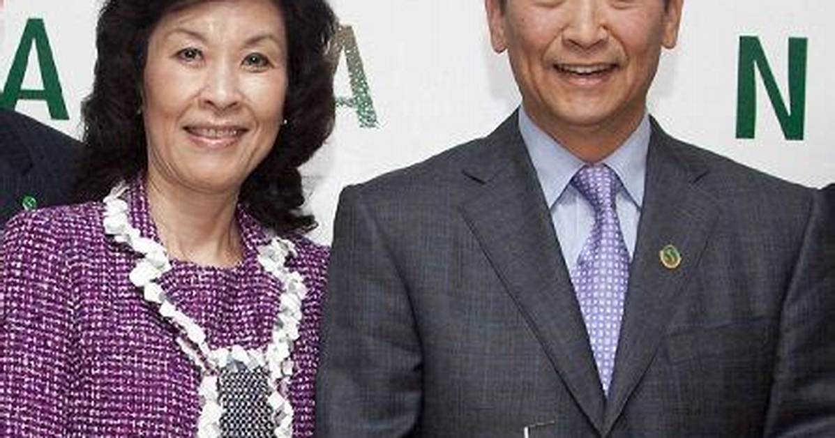Meet Roger Wang and Vivine Wang, Siblings and Family
