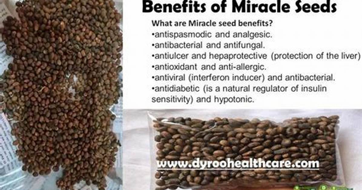 Miracle Seed Benefits: Unlocking Nature's Hidden Treasures
