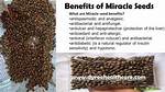 Miracle Seed Benefits: Unlocking Nature's Hidden Treasures
