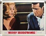 Mister Buddwing Ending Explained, Did James Garner Figure Who He Really Is?