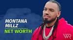 Montana Millz Net Worth