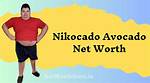 Nikocado Avocado Net Worth – How Much Is Avocado Worth?